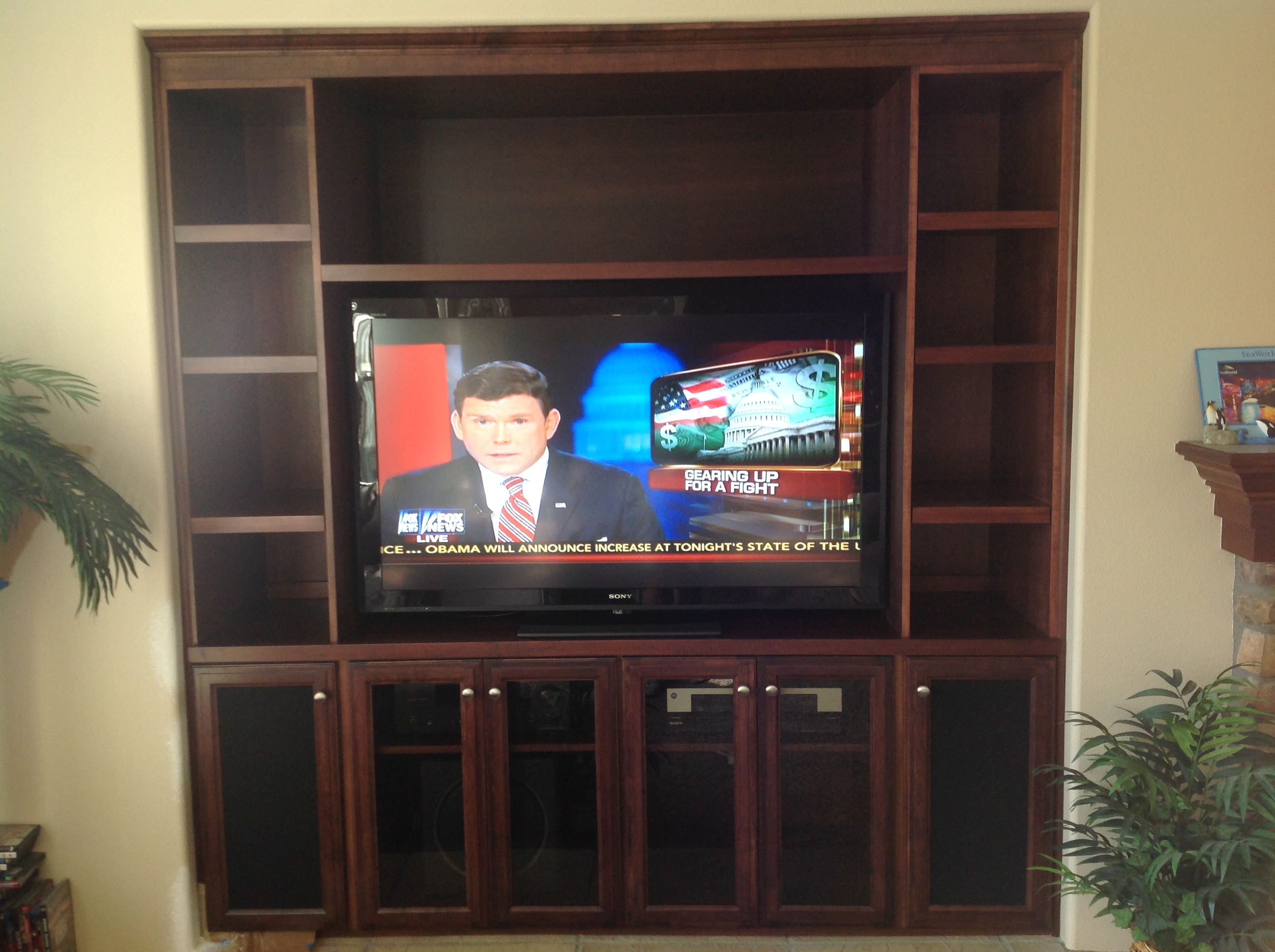 New Entertainment Center